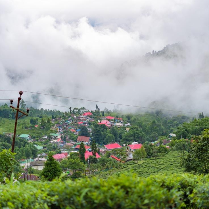 Entertainment zone at night in Italy